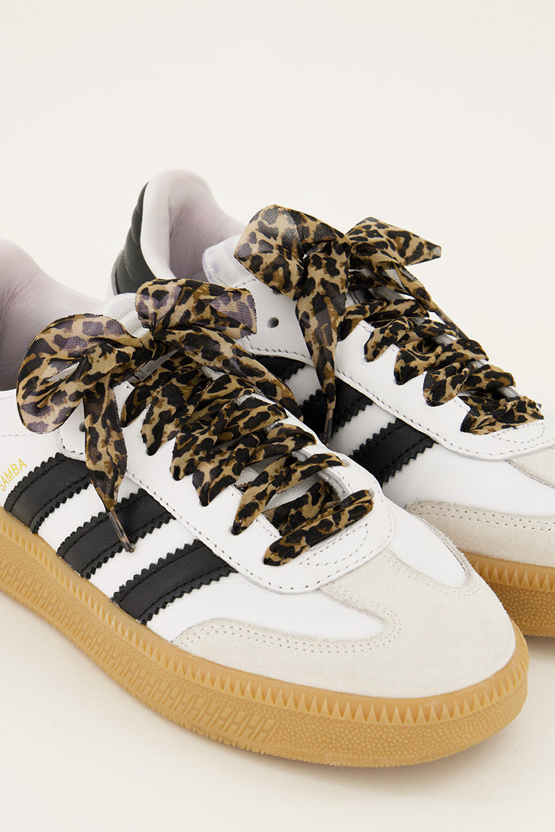 Shoelace