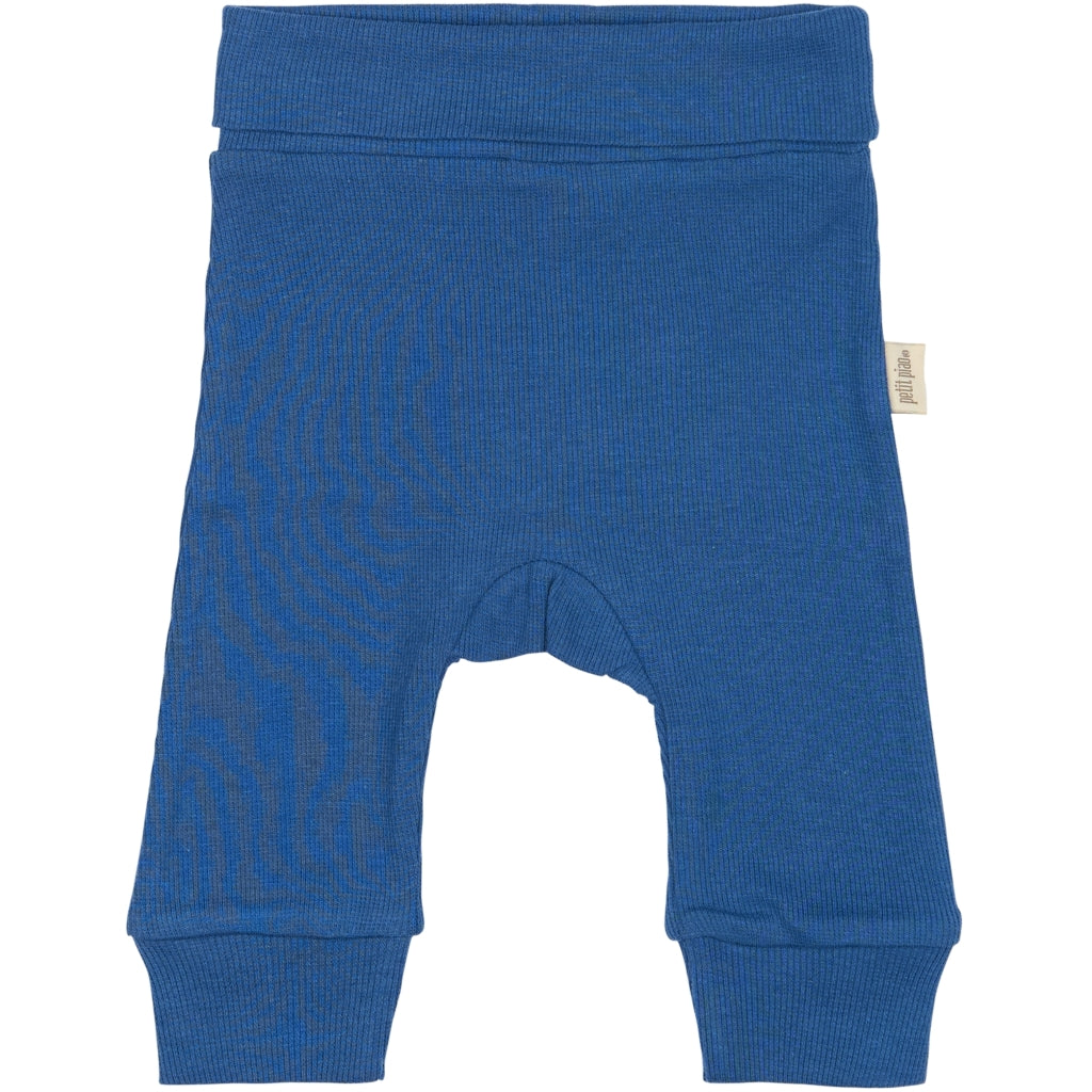 PPDi fold leggings NB