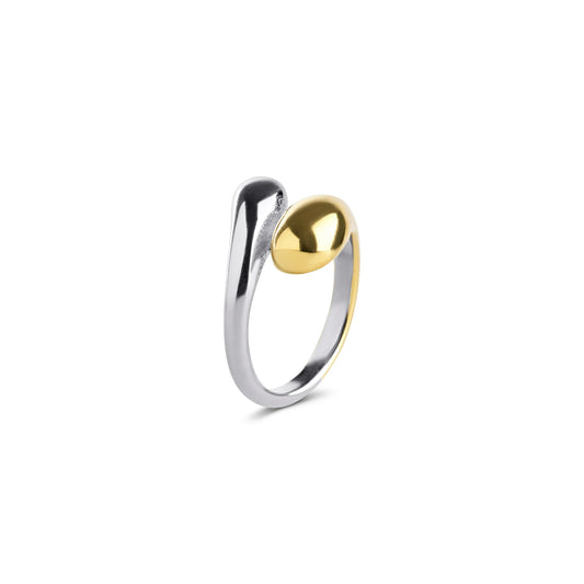 A v a - M ixed Metal Ring Stainless Steel - Gold and Sil