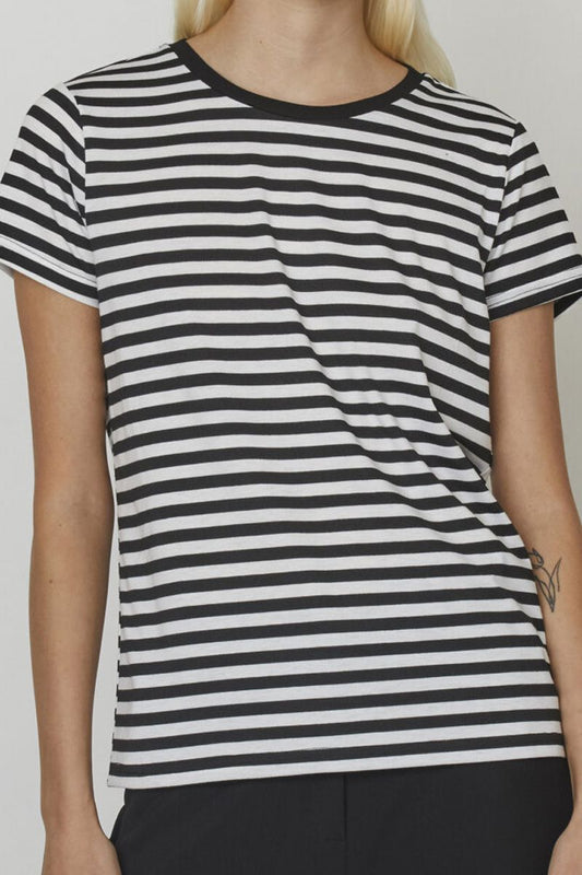HICO-SS1